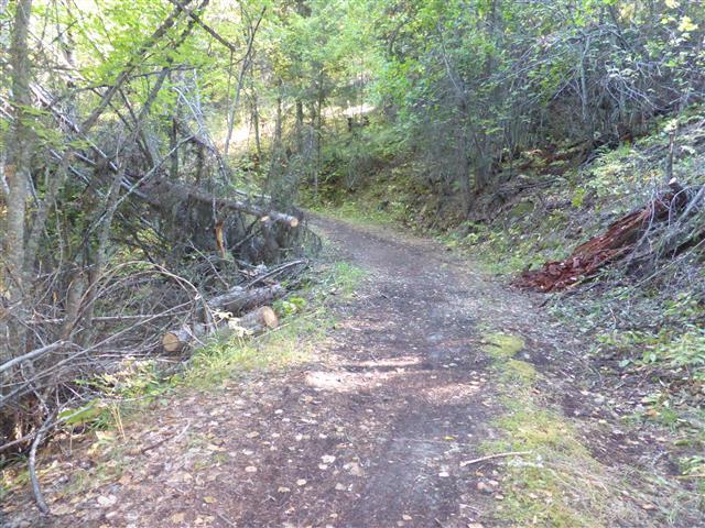 This would increase options for trail users. The improved connection to KLO Creek Regional Park with its popular Angel Springs Trail will be welcomed by trail users.