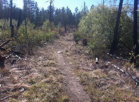 Outhouse Trail 4