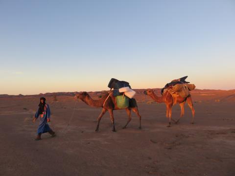 Trek Overview This trek in the Moroccan Sahara gives you an insight into this vast and diverse landscape as well as the Berber way of life.