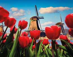 NO FLY OPTION Highlights of the Netherlands & the Beauty of Belgium river cruise 8-days Amsterdam to Amsterdam, now from 1,395 pp A river cruise to the Netherlands and Belgium promises a picturesque