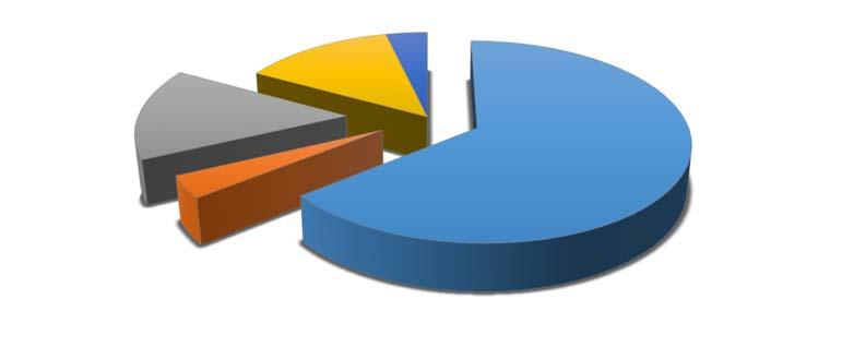 13,96% 3,80% 15,82% 3,79% 67,22% xdsl FTTx Usluga bitstream pristupa Kabelske