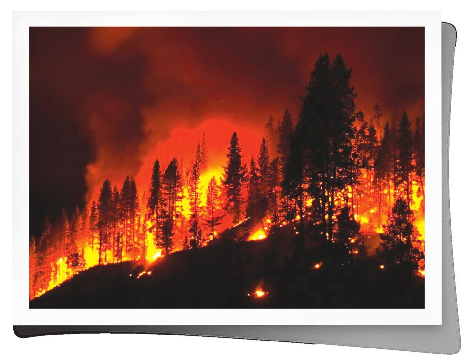 The Pillowcase Project Learn. Practice. Share. PART 6: LOCAL HAZARD SUPPLEMENT (10 MINUTES) Wildfire Preparedness Learning Objectives Students will be able to explain what causes wildfires.