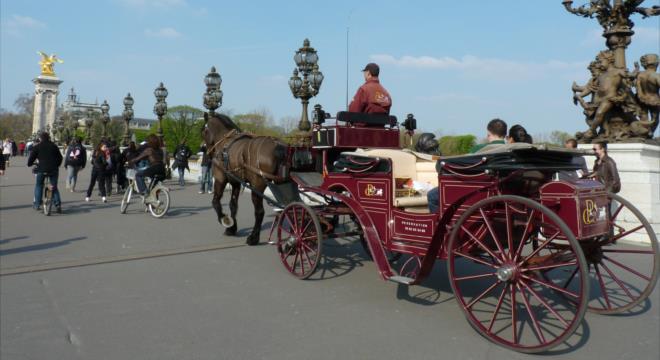 25 PARIS HORSE AND CARRIAGE RIDE 22 Hop on a beautiful, luxurious horse and carriage and take a ride through the streets of Paris, passing by some of the most iconic monuments of the city.