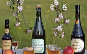 As you are in Normandy, you will no doubt come across ciders of the region but we can also steer you towards lesser known tipples such as can be found at a micro-brewery on the River Eure.