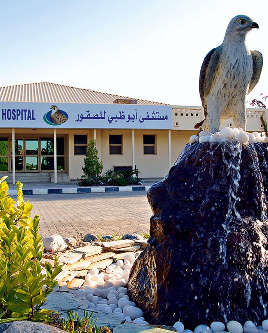 Day 12 Falcon Hospital with Lunch Discover Abu Dhabi at a local Restaurant Overnight at arabian courtyard hotel & spa, 4* city hotel, Deluxe room incl. BB or similar.