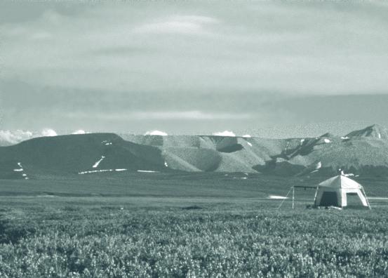 Wondering About Wilderness Figure 4. Much of the land within Gates of the Arctic National Park and Preserve is arctic tundra. (Photo courtesy of http:// wilderness.net.) Figure 5.