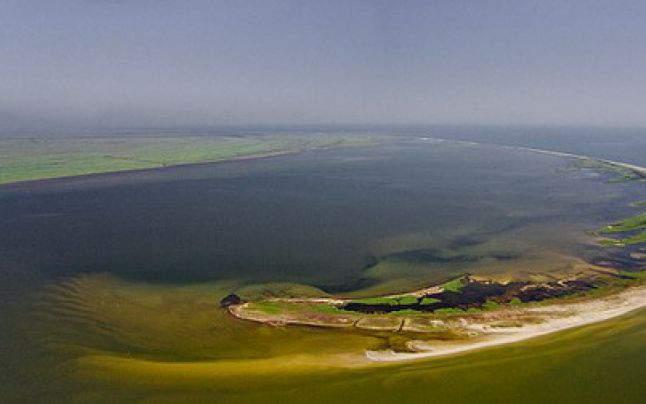 Just before reaching the sea, it forms the Danube Delta - second largest and best