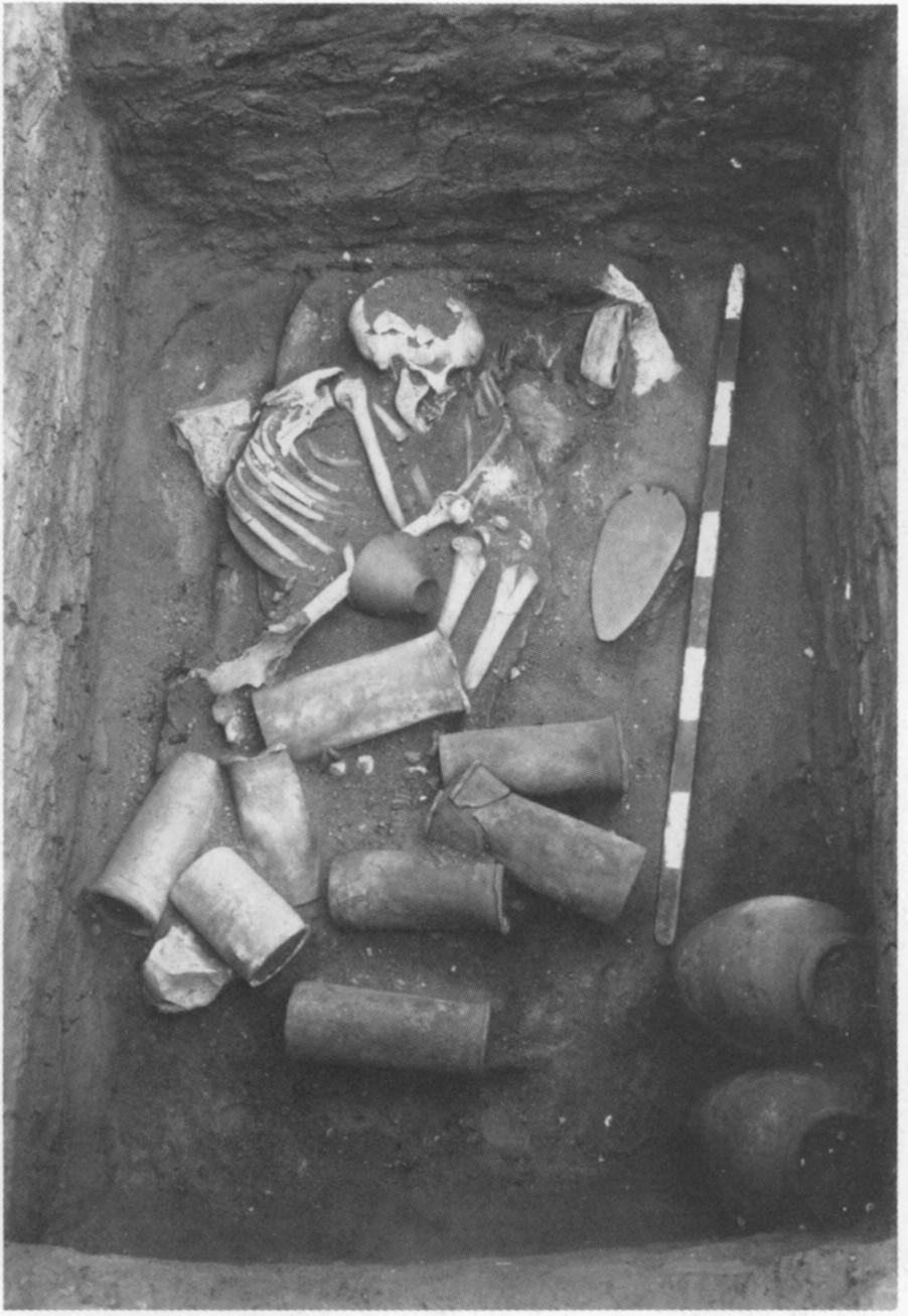 AN EARLY DYNASTIC CEMETERY AT KAFR GHATTATI 73 Fig. 2. Kafr Ghattati. Tomb 1 burial in situ. record of its dimensions taken.