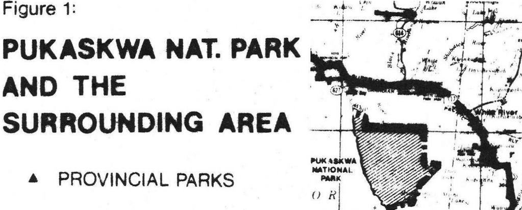 Indeed, an examination of the Ontario Camper Statistics (1971 Ontario Provincial Parks Statistical Report) revealed that most of the provincial parks in Northern Ontario had more enroute campers than