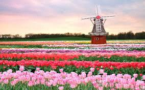 Type to enter text April 18-29, 2020 Amsterdam, Bruges and Paris Walking, Sightseeing, Culture and Tulips Leader: Dick Cable Trip #2005 Co-Leader: Joe Thomas If