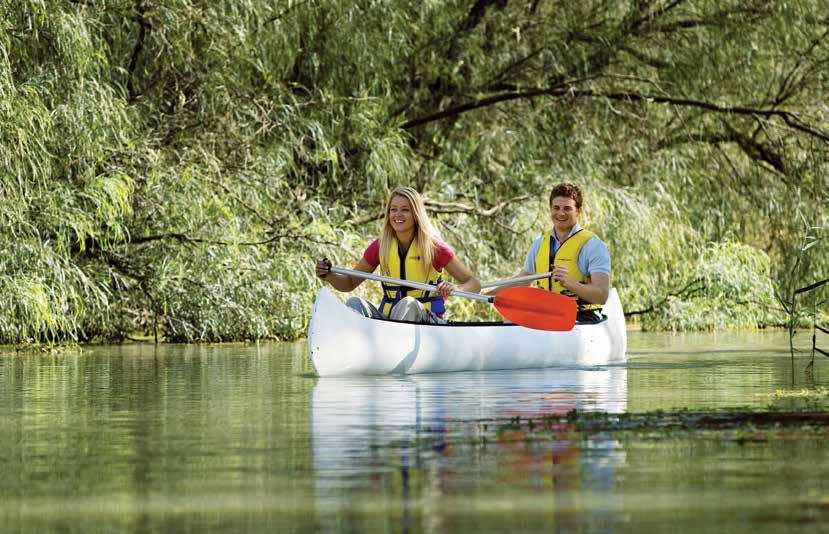 Getting here & AROUND Amazon Creek, Renmark Whether you drive, hire a houseboat, jump on a paddle steamer, ride a bicycle or paddle a canoe, there are plenty of great ways to explore the Riverland.