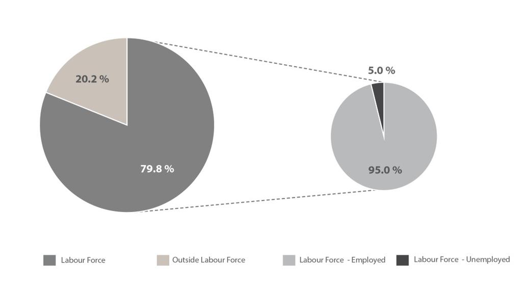 5.1. Labour Force Structure The labour force includes employed and unemployed individuals who are aged 15 years and above.