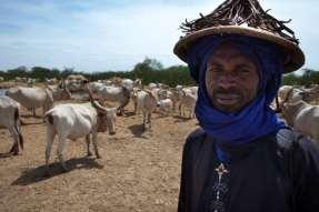 Livelihoods depends on pastoralism and fishing