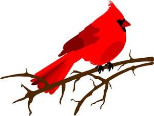 Red Bird Report September 2018 Aahhh September, thy name is change.