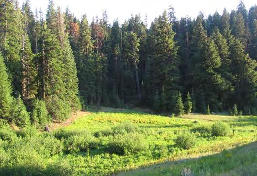 National Trails System Land and Water Conservation Fund FY2014 Pacific Crest National Scenic Trail Cascade-Siskiyou National Monument, Donomore Meadows, Brown Mountain Project Details LWCF Request: