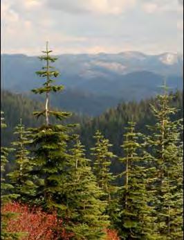 National Trails System Land and Water Conservation Fund FY2014 Pacific Crest National Scenic Trail Plum Creek Timberlands Washington Project Details LWCF Request: $3,370,000 Congressional District: