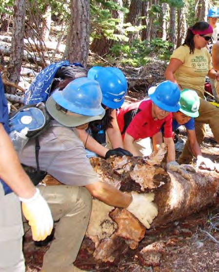 Pacific Crest National Scenic Trail Boy Scouts of America Boy Scouts of America Youth Trail Crew Programs Boy Scouts: In 2012, 36 Scouts from three separate Boy Scout troops worked on the trail in