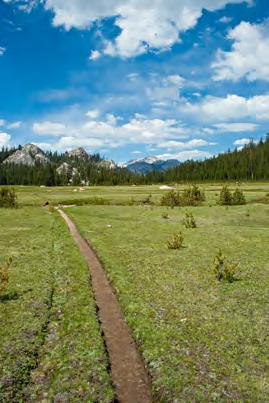 Pacific Crest National Scenic Trail Fact Sheet From desert to glacier-flanked mountain, meadow to forest, the Pacific Crest National Scenic Trail symbolizes everything there is to love and protect in