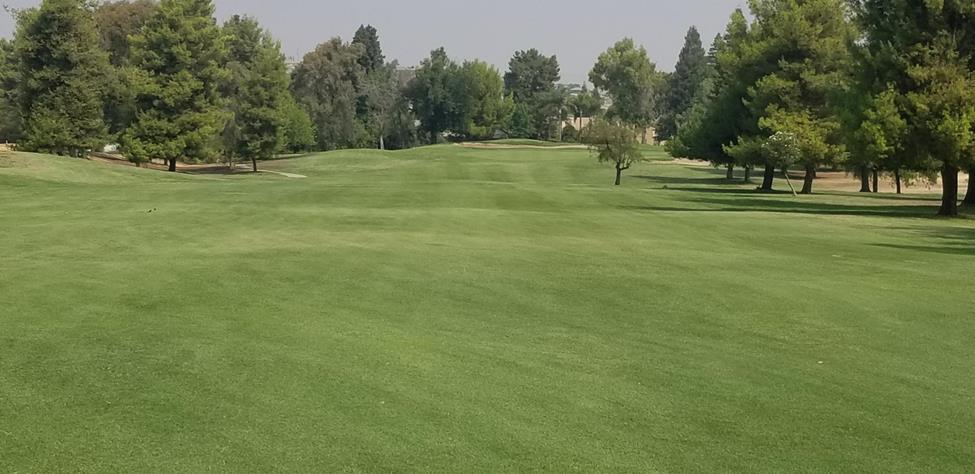Golf Course Update While the summer heat may be taking its toll on you, the Bermuda couldn t be happier.