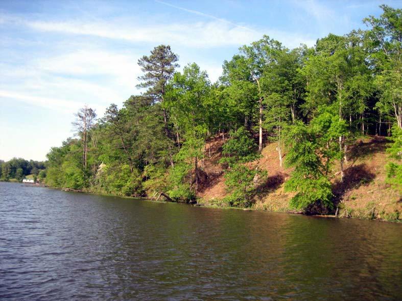 Lots for Sale OVERVIEW BEAUTIFUL WATERFRONT PROPERTY (Seen here is lot 2, looking northward) DESCRIPTION: These lots on Bankhead Lake are a division of a tract of roughly 70 acres of land with 3000
