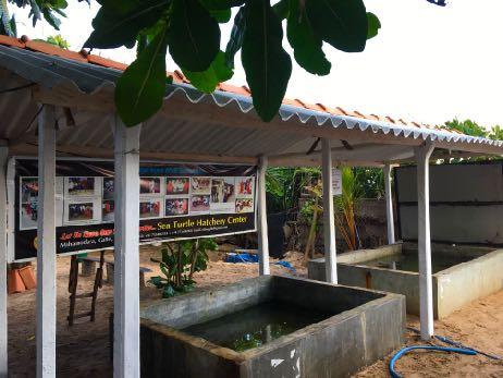 Sea Turtle Project Mahamodara Mahamodara is village with an