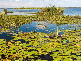 The second largest wetlands in the world, the Iberá Wetlands are a very important freshwater reservoir of lagoons, stagnant lakes and swamps with fascinating gaucho and Guaraní culture.