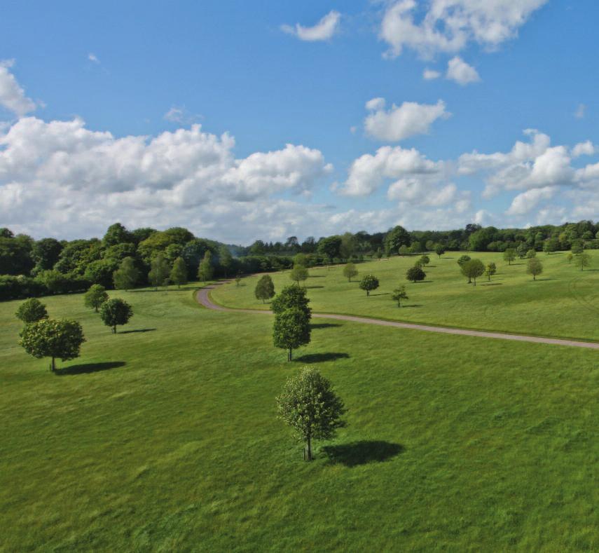 Hampshire Armsworth Hill Farm is beautifully positioned in the heart of some of Hampshire s most attractive rolling countryside enjoying views across its own land with far reaching vistas beyond.