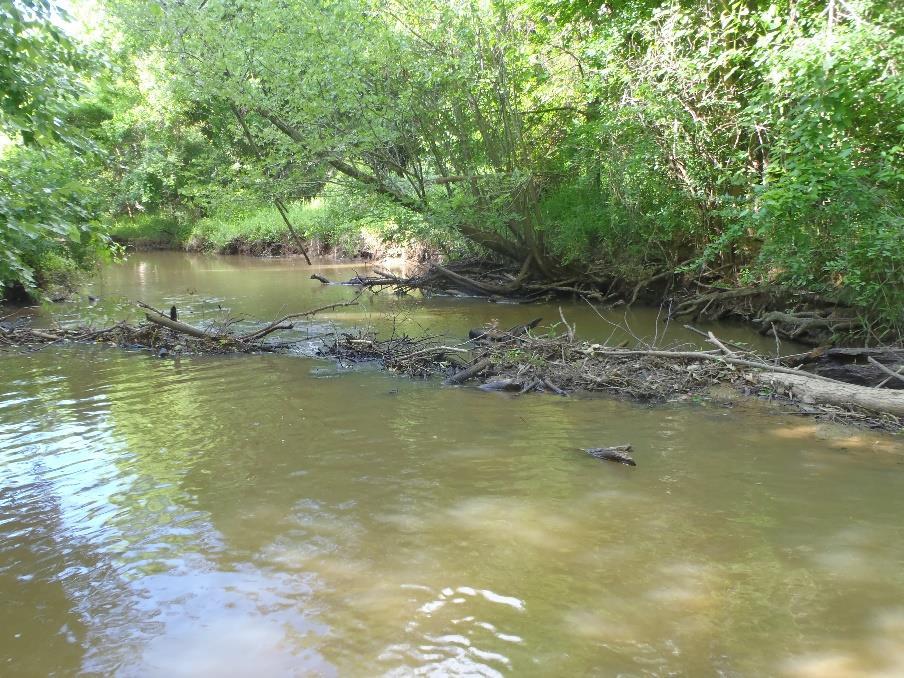 Upstream at WM01 Beaver