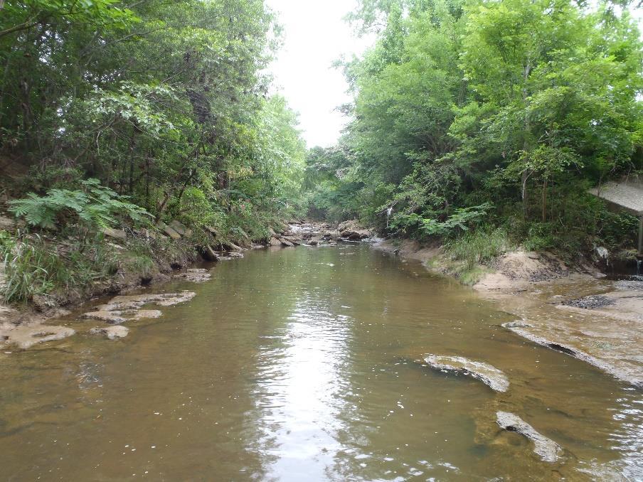 West Mud Creek