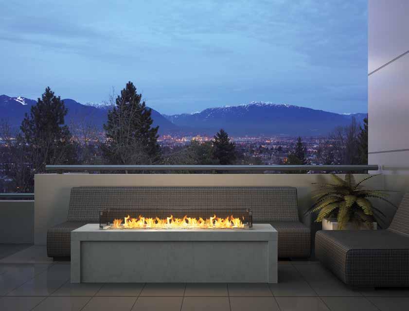 fireplace brings you the design versatility of a linear stainless steel burner for multiple sizing applications.
