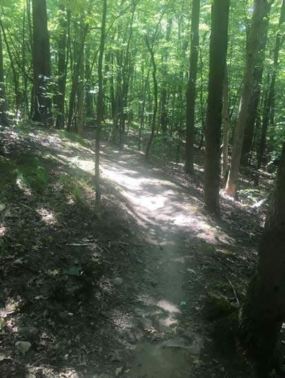 This is apparent through tread widening and creep down the side of the hill, multiple trail braids, and double turns where slow and faster riding lines have developed.