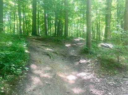 berm structure to reduce the sheer stresses of bikes (and even trail runners) on these trail features.