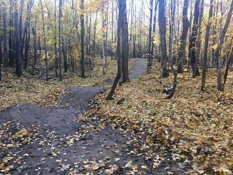 48 TREES AS ANCHORS, NOT LESS THAN 48 CORRIDOR TRAIL TREAD SURFACE OF NATIVE SOIL AND ROCK MATERIAL LEAF LITTER TO COVER ALL BACKSLOPE AND SPOILS FOLLOWING TREAD CONSTRUCTION STONE/UNDERSTORY TRAIL
