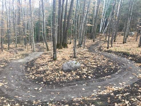 36 TREES AS ANCHORS, NOT LESS THAN 36 CORRIDOR TRAIL TREAD SURFACE, COMPACTED LEAF LITTER TO COVER ALL BACKSLOPE AND SPOILS STONE/UNDERSTORY TRAIL ANCHORS, NOT LESS THAN 24 PROTRUSIONS IN TRAIL TREAD