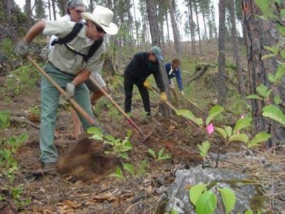 Volunteers, broadly defined as non-staff resources, can fulfill land management resource voids - putting miles of trails on the ground, removing noxious weeds, cleaning up trash, interfacing with the