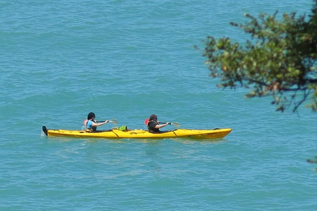 Many people combine kayaking