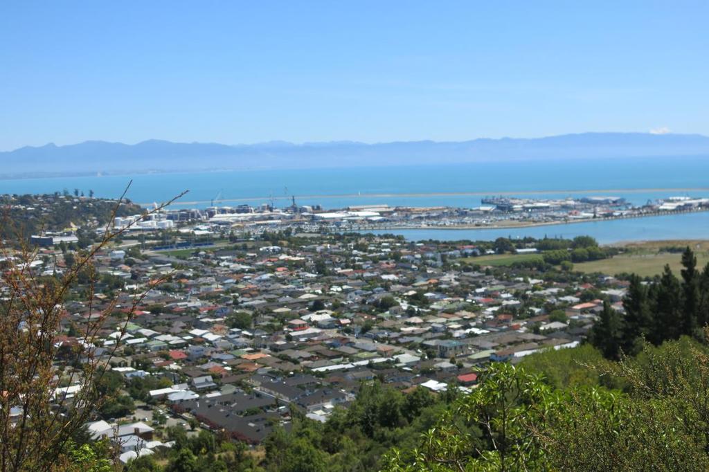 Overlooking the city Nelson has an exceptionally high number of