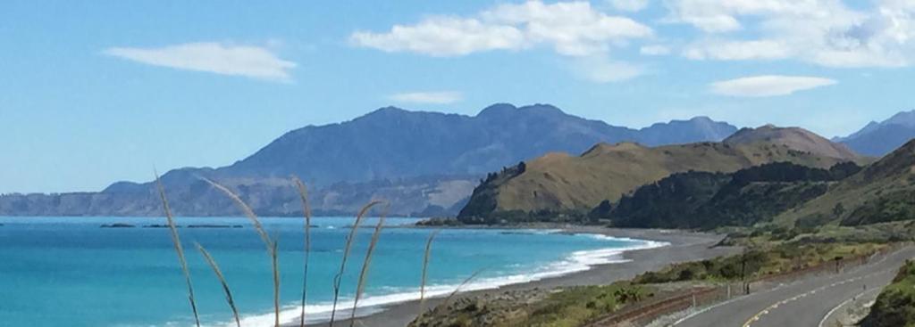 the picturesque town of Kaikoura