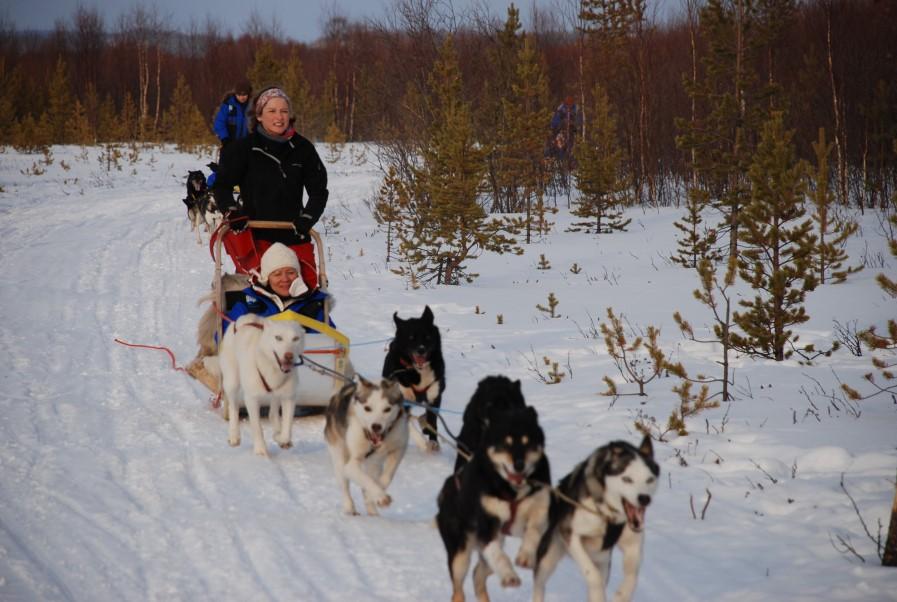 You get warm clothing and will be taken to your husky team where you will get a short lesson on how to handle the dogs and your sledge. There are 2 people per sledge, one driver and one passenger.