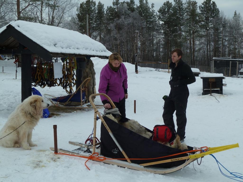 Tour by dog sledges along the Norwegian- Russian border and into the Siberian forest. You drive you own dog sledge (2 persons per sledge). Driving distance is app.