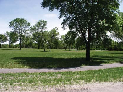 The park is typically impacted by spring floods of the Red River, which Large open lawn area of Gooseberry cause the bridge to be unavailable Park surrounded by trees for approximately three