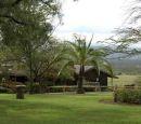 Lake Nakuru Lodge - Situated in a wonderland which lies in the heart of one of Kenya's most densely animal-populated wetland National Parks (Ramsar Site), The Lake Nakuru Lodge blends well with its