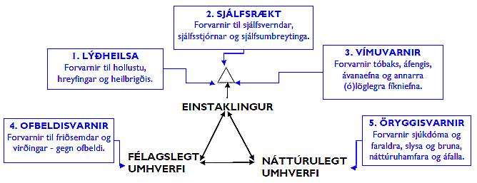 (ii) sjúkdómar og faraldrar (t.d. inflúensuheimsfaraldur) (iii) slys (iv) brunar. Þetta samhengi í skýrt í eftirfarandi mynd.