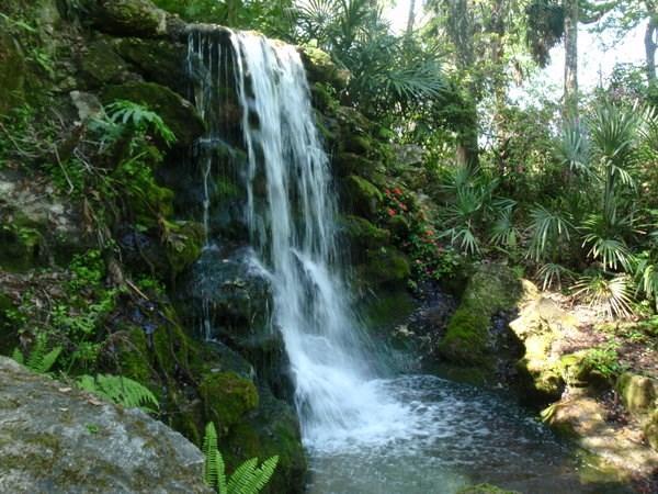 Swim in the beautiful, clear water of Rainbow Springs, go for a hike, paddle a
