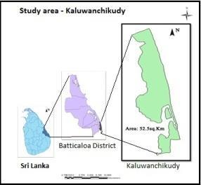 associates species of Sri Lanka. They remained about 8,000 hectares ground now. In these lands, we can see about 1,421 hectares in Batticaloa district including Kaluwanchikudy (CC&CRMD, 2014).