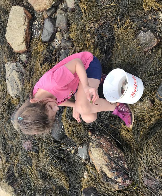 SESSION 1: SEASHORE SCIENTISTS June 24 28 $365 members; $430 nonmembers Field Trips: Tide Pools, Salt Marsh, Odiorne State Park Explore the diverse and interconnected habitats of the seashore, from