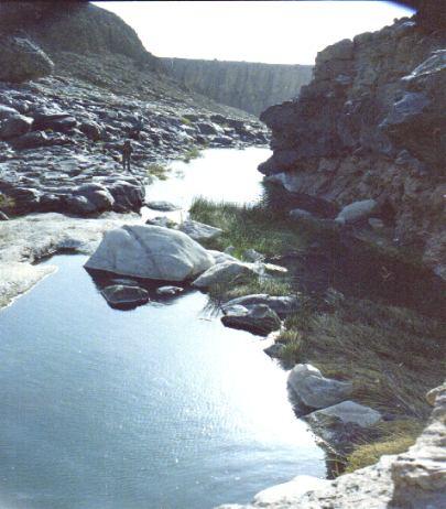 Les Gueltates d Issakarassene.02/02/01; Tamanrasset; 35,100 ha; 22º25 N 005º45 E. Parc National de L Ahaggar.