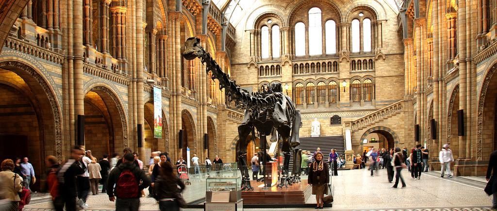 Detailed itinerary Day 4 Natural History Museum, interactive science workshops, Hyde Park, Harrods Let s go to the Natural History Museum!