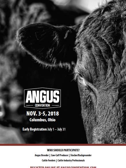 Plus the Angus Convention guide is posted online for additional distribution and reference. Deadline for space reservations is August 8. Camera-ready ads are due August 15. Full page trim size: 8.
