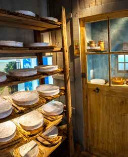 6 Sale of Brie cheese on site at the Tourist Office shop Culinary workshops, tastings, guided tours: ask for the program animations at the Maison du Brie de Meaux La fromagère (cheese shop) 4 rue du